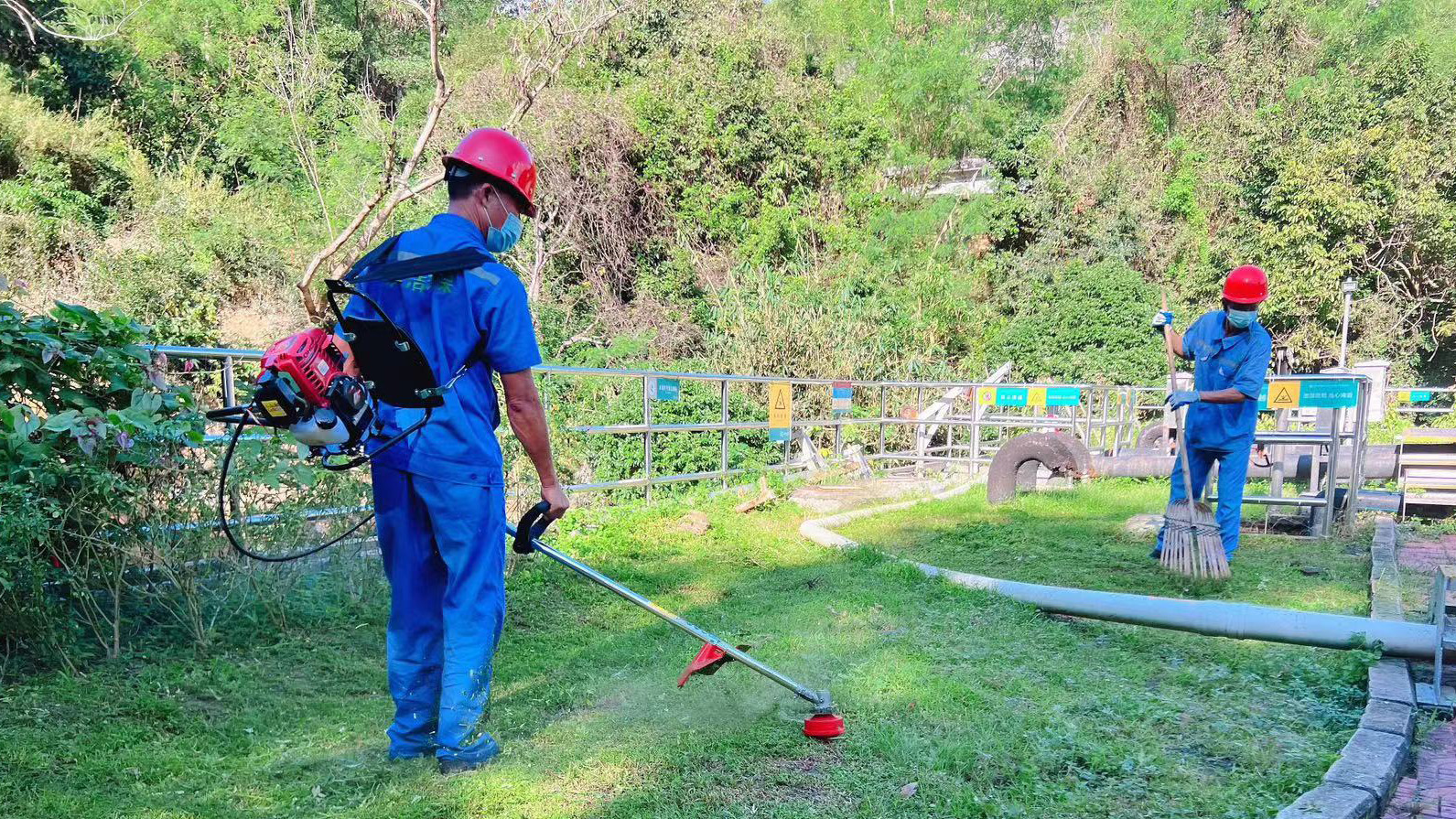 深圳市某公园园区绿化养护项目